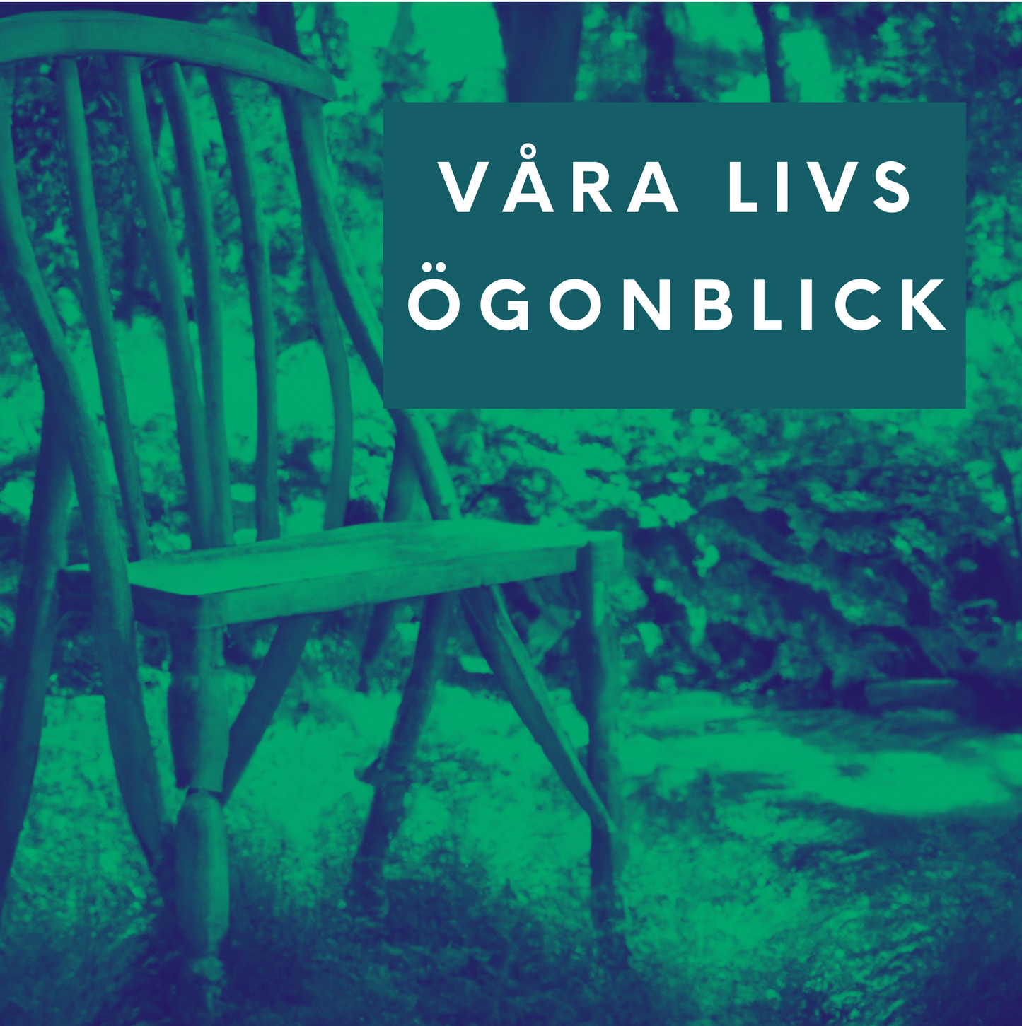 Våra Livs Ögonblick